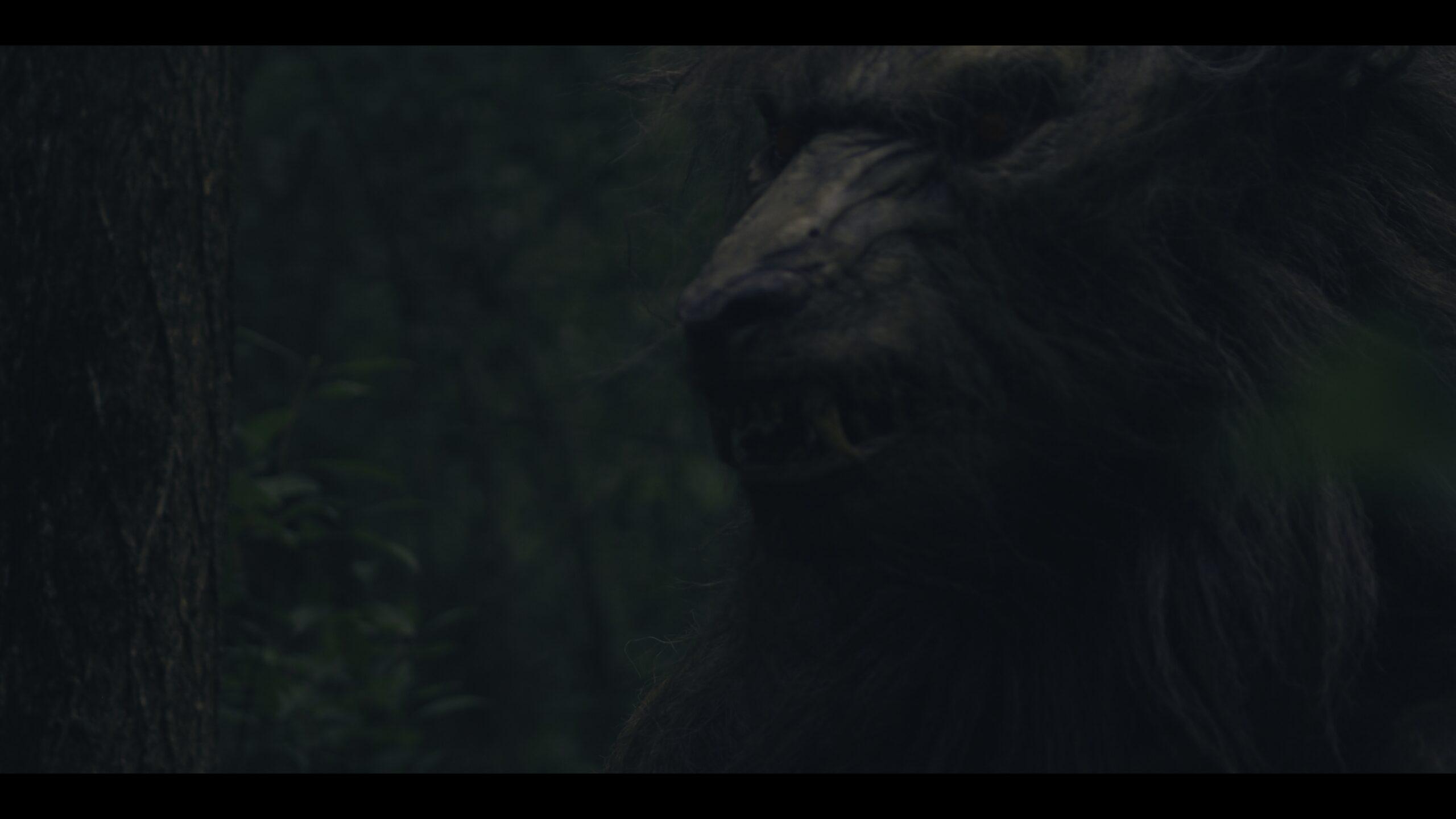 Werewolves Unearthed VOD