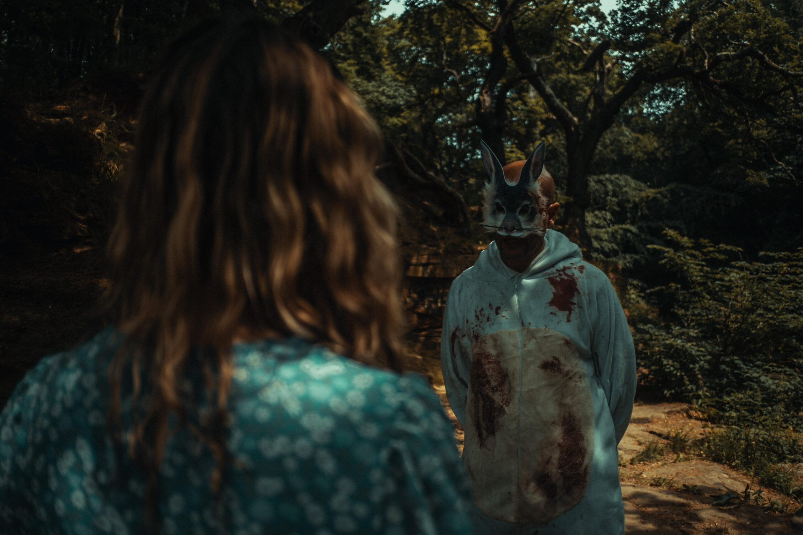 Alice in Terrorland Review