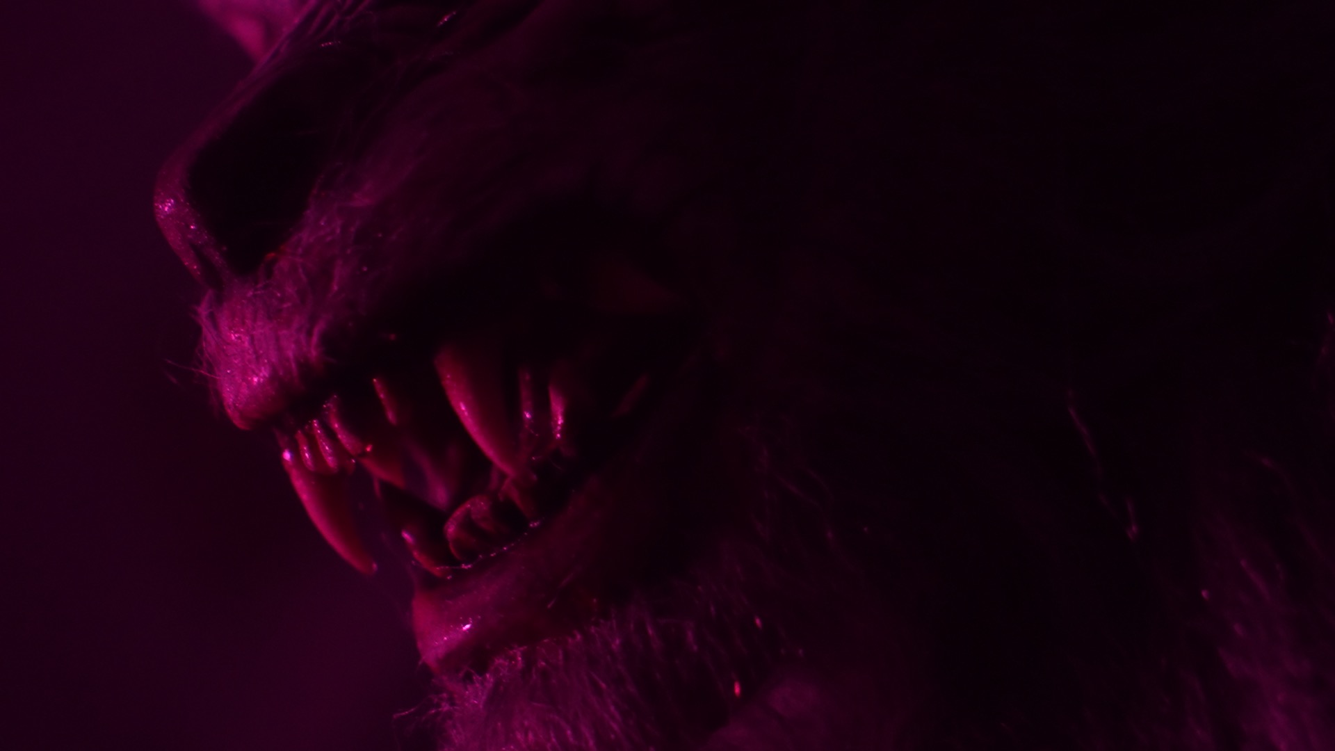 The Skinwalkers: American Werewolves 2 Bows April 6 On VOD