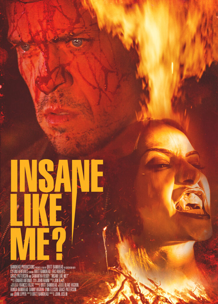 Insane Like Me review