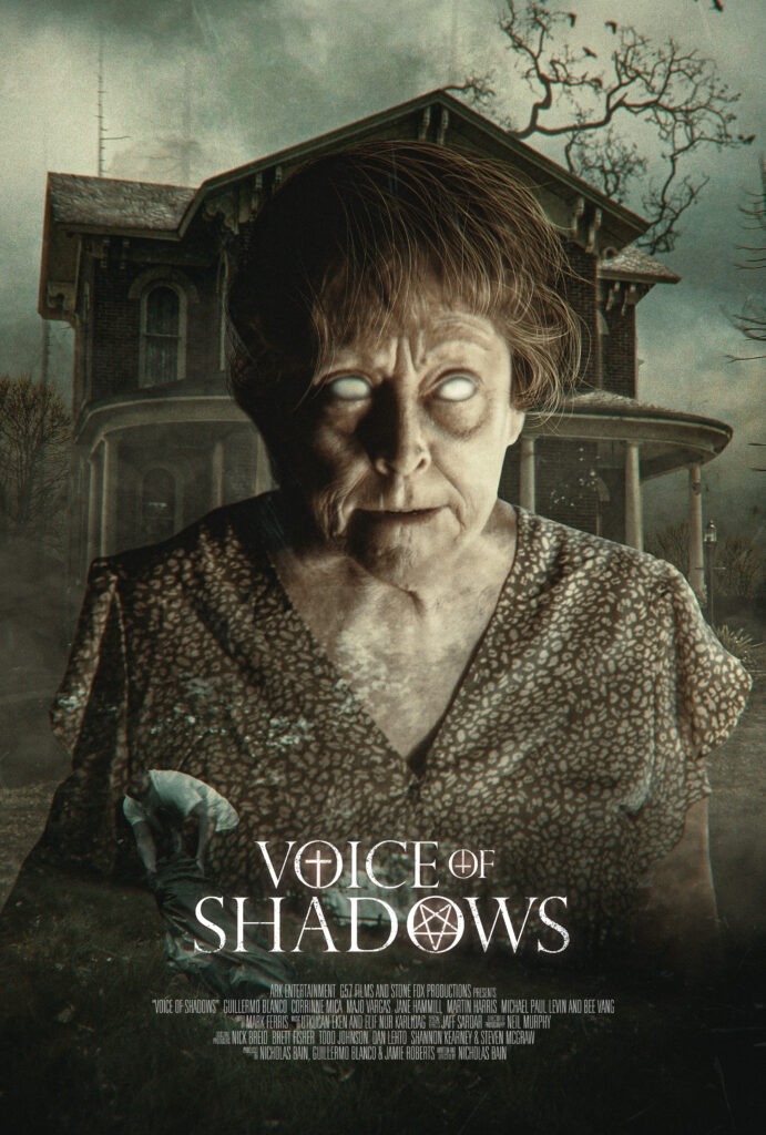 Voice of Shadows Review