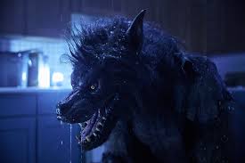 Werewolves Review