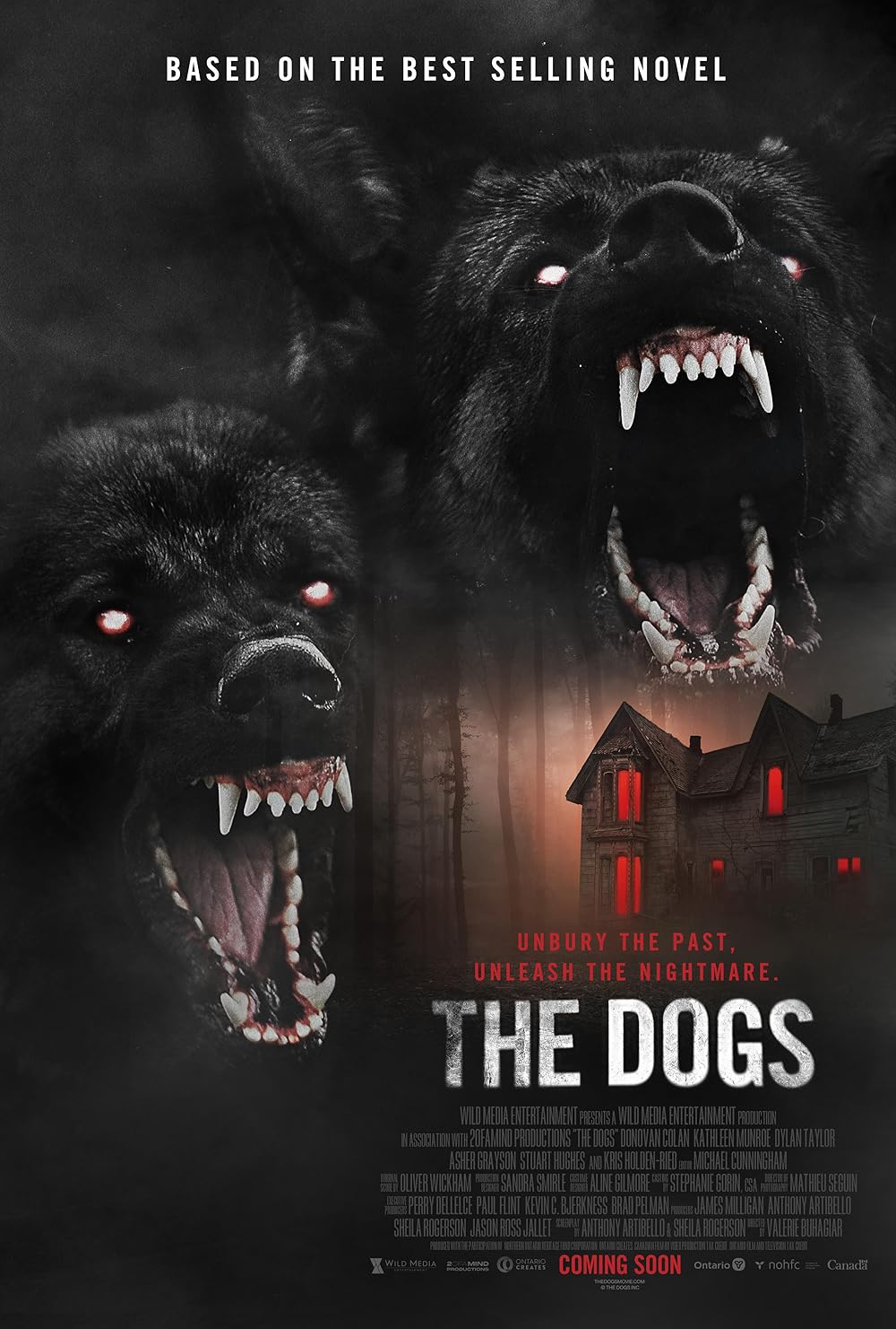New Horror Releases 6-8-25 - 6-14-25