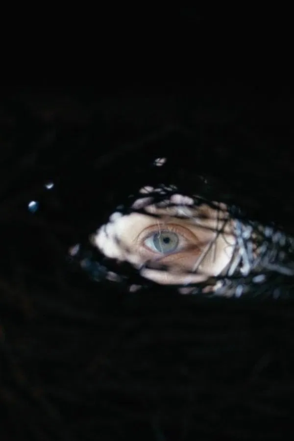 New Horror Trailers 6-29-25