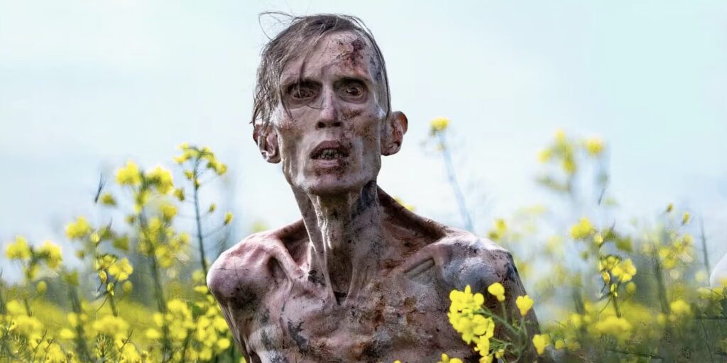 Top Ten Horror 2025