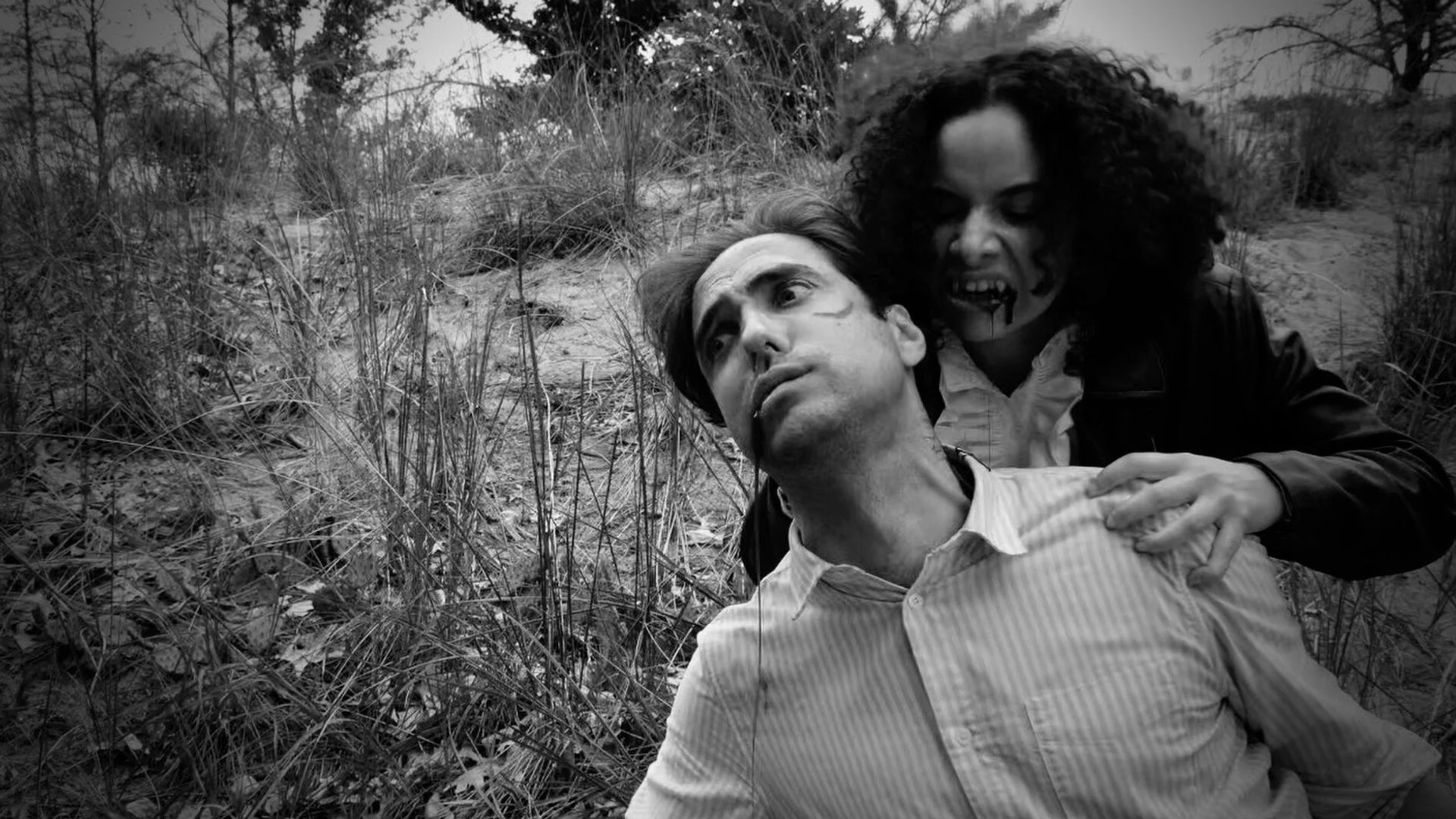 Carmilla Vive! Review