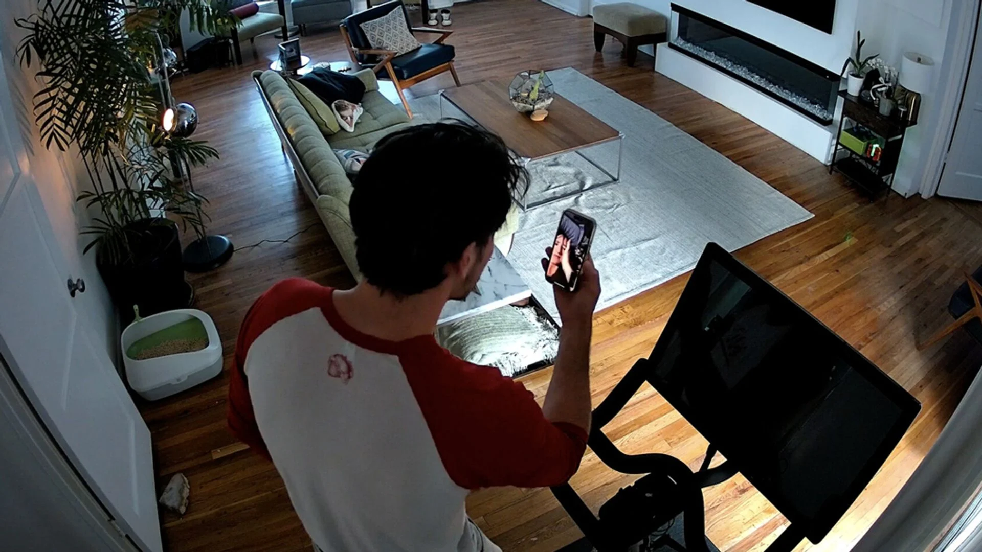 Cat Cam Review