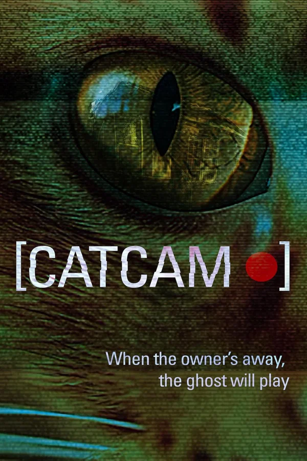 Cat Cam review
