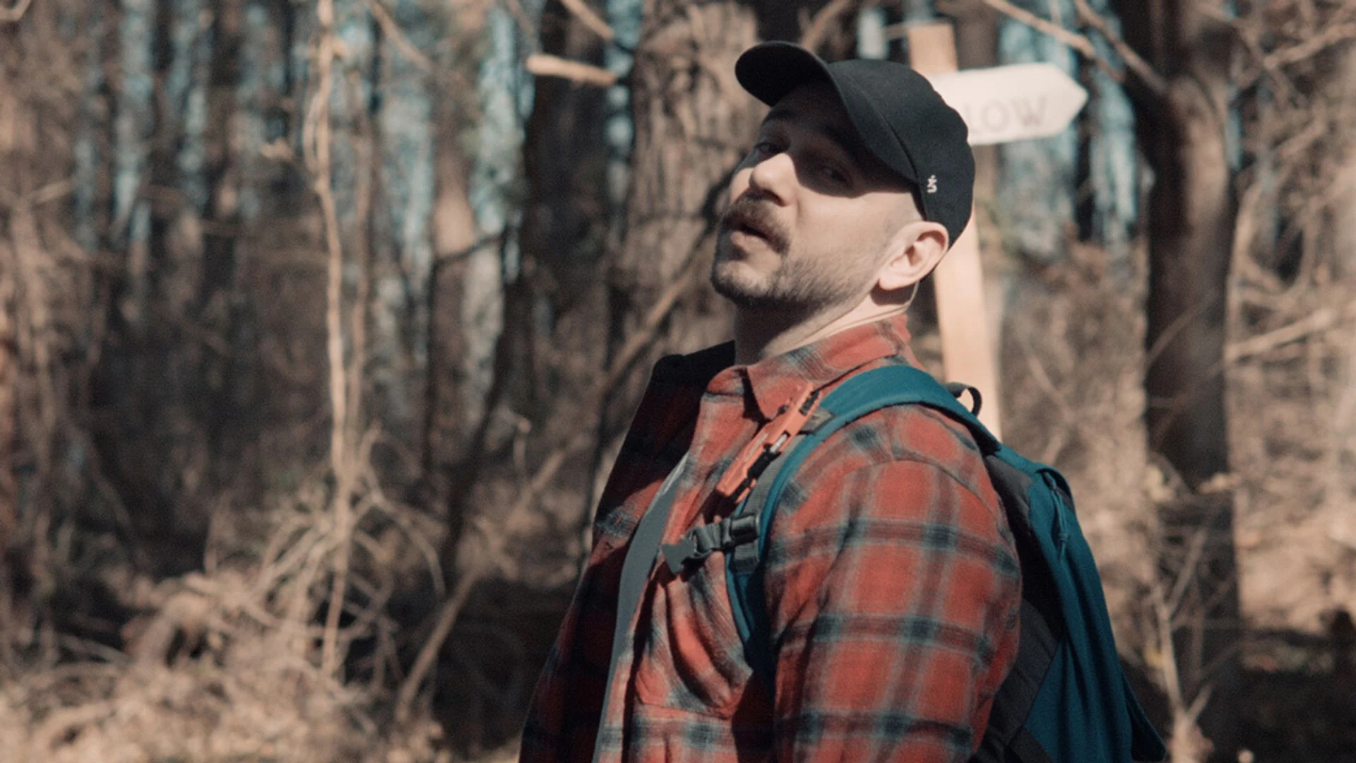 Creature of the Pines Review