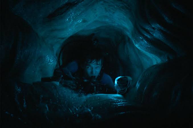 Whalefall review
